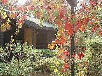 Caravelle Village Ceriale