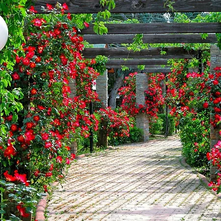 Caravelle Village كيريالي