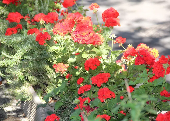 Feriepark Caravelle Village